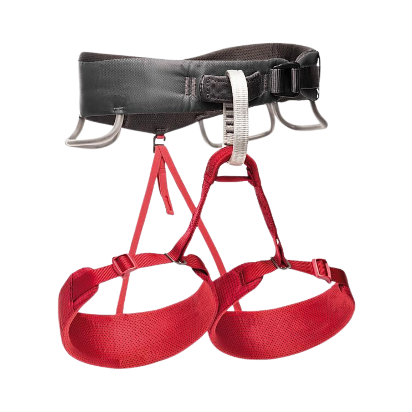 Baudrier Momentum femme