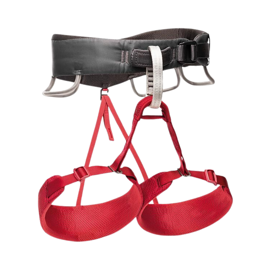 Baudrier Momentum femme